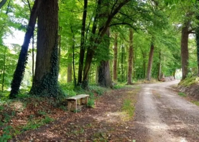 Ze Good House Manoir Percheron Jusqu'a 26 Pers Villa Ceton